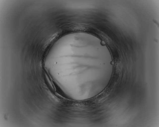 X0000091500729200709131849