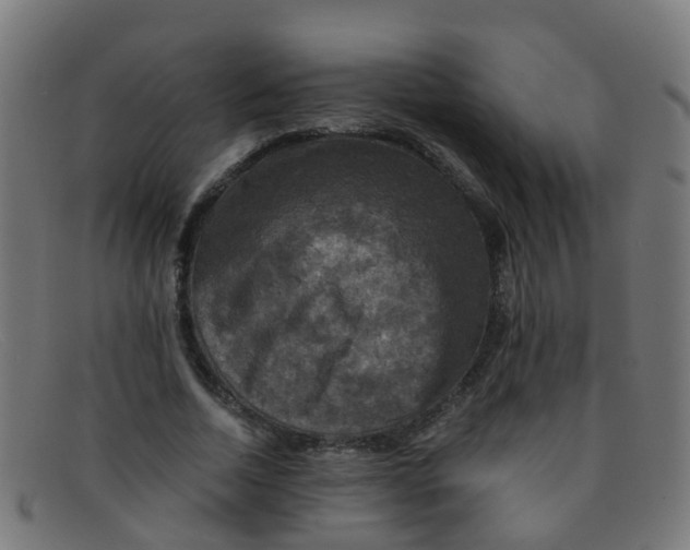 X0000091500730200709131850