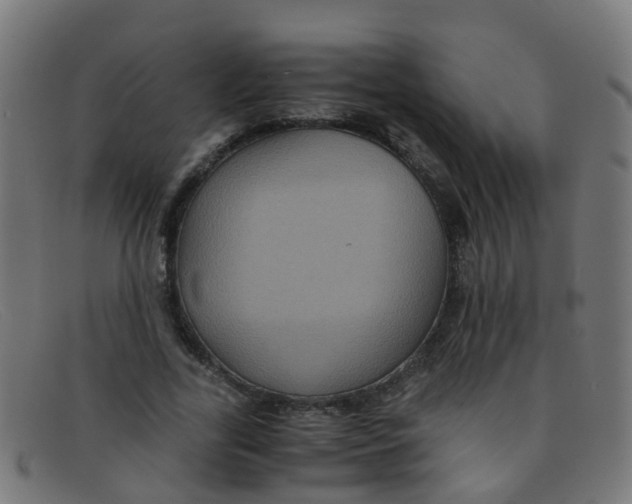 X0000091500731200709131850