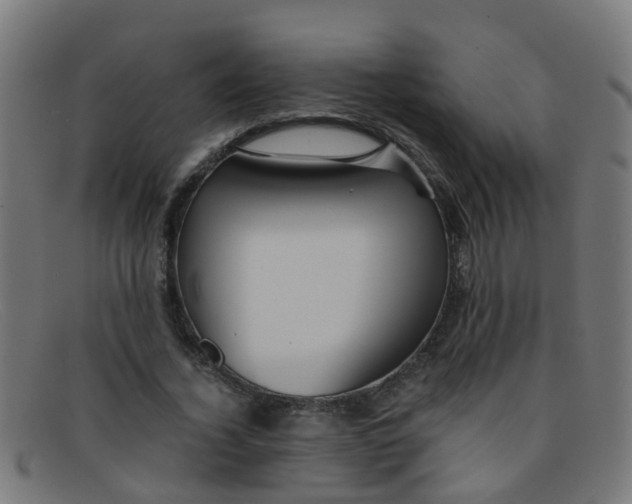 X0000091500732200709131850