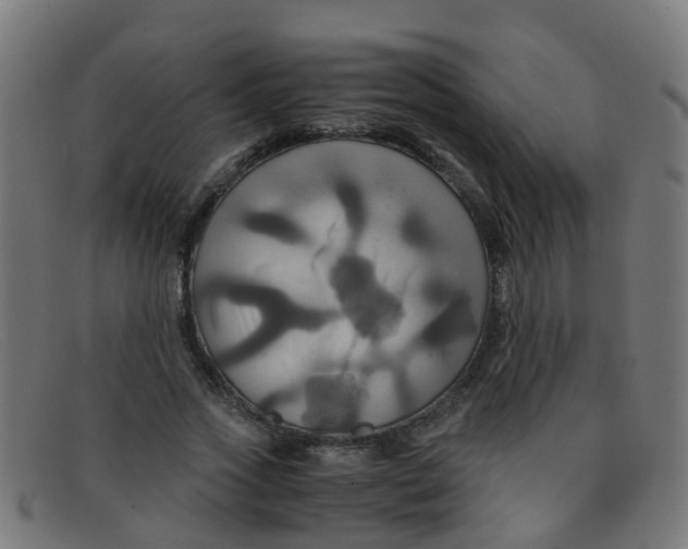 X0000091500733200709131850