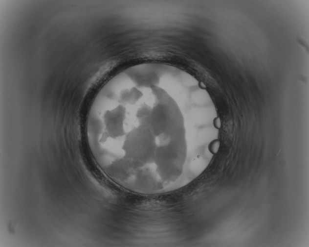 X0000091500734200709131850