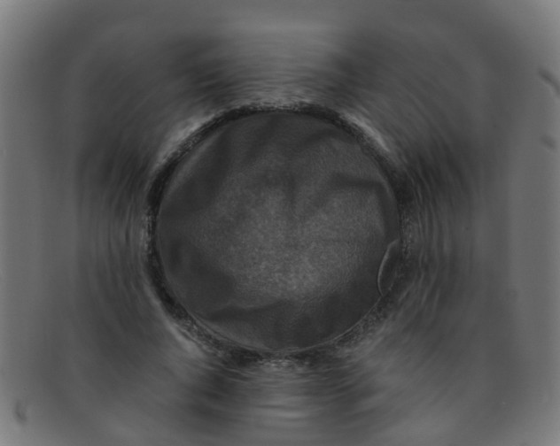 X0000091500736200709131850