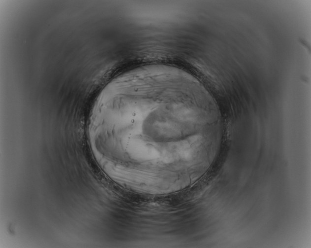 X0000091500737200709131850