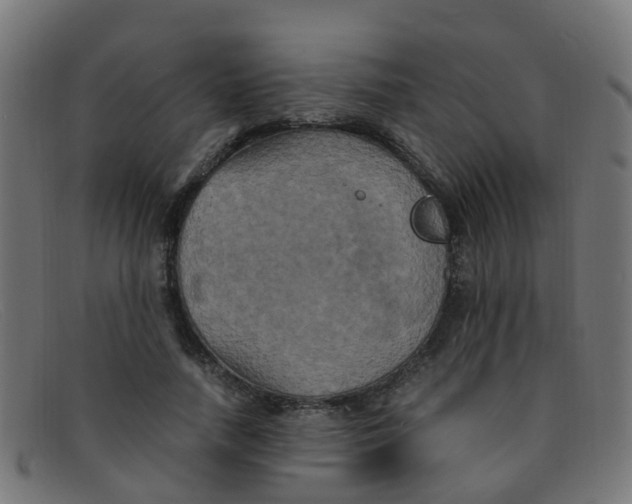 X0000091500738200709131850