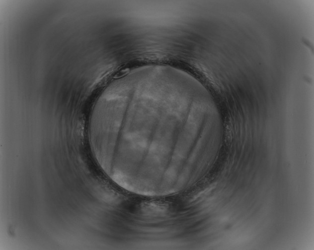 X0000091500739200709131850