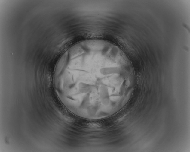 X0000091500741200709131850