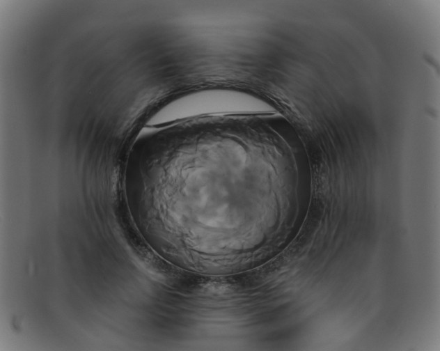 X0000091500742200709131850