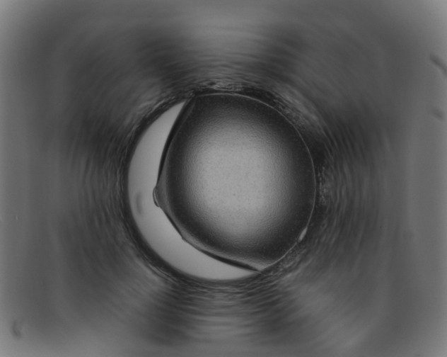 X0000091500748200709131850