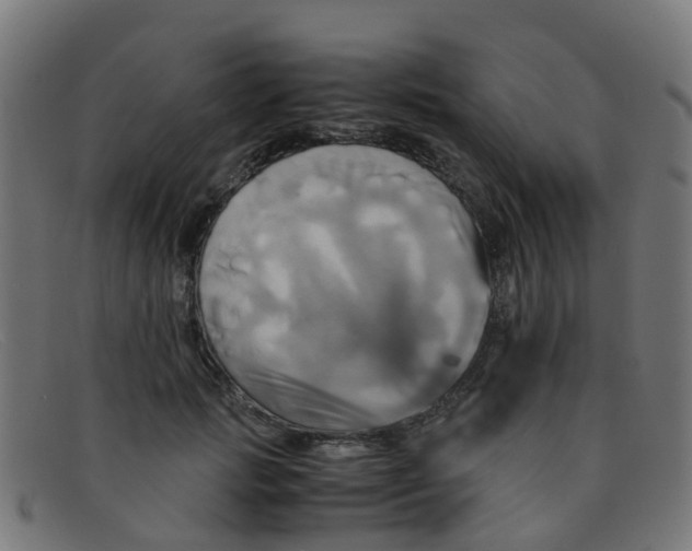 X0000091500749200709131850