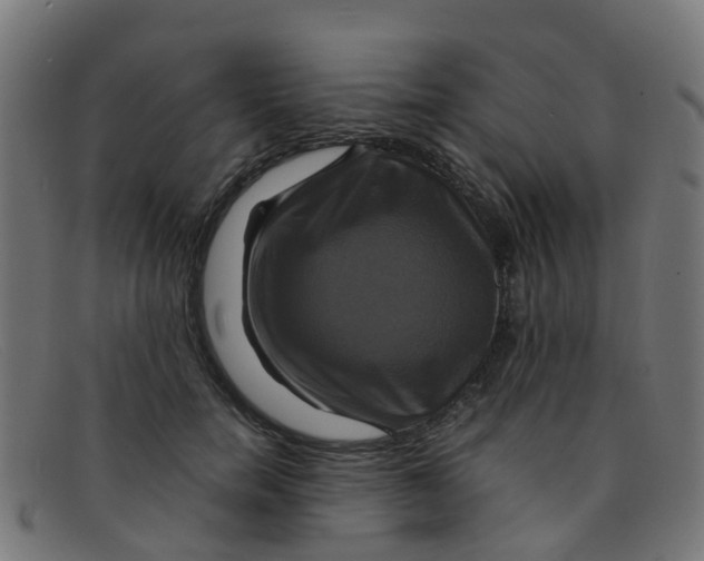 X0000091500750200709131850