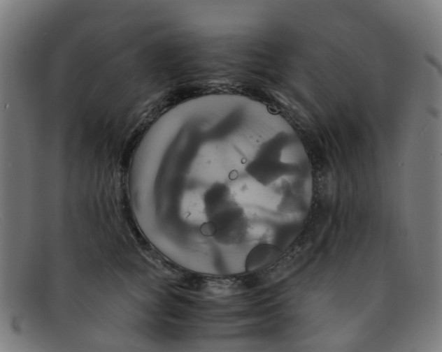 X0000091500757200709131850