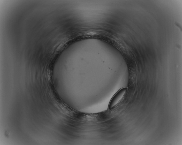 X0000091500758200709131850