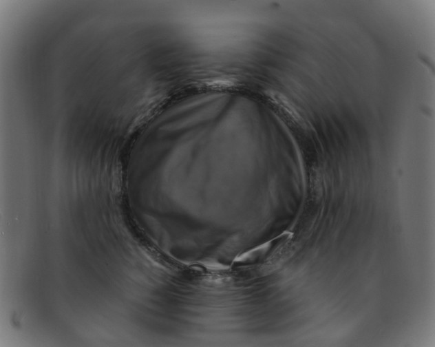 X0000091500760200709131850