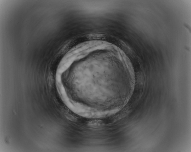 X0000091500761200709131850