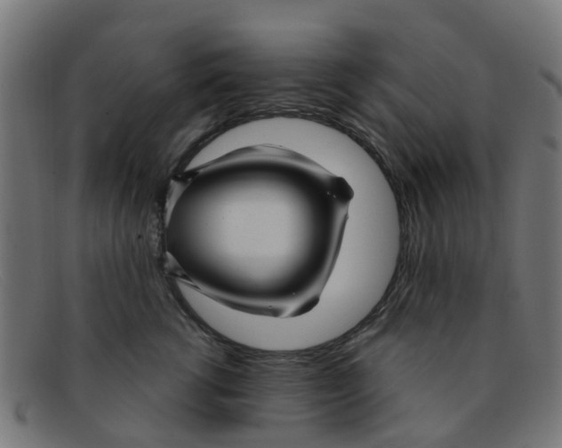 X0000091500762200709131850