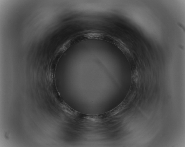 X0000091500763200709131850