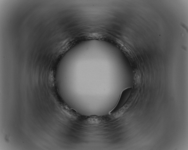 X0000091500764200709131850