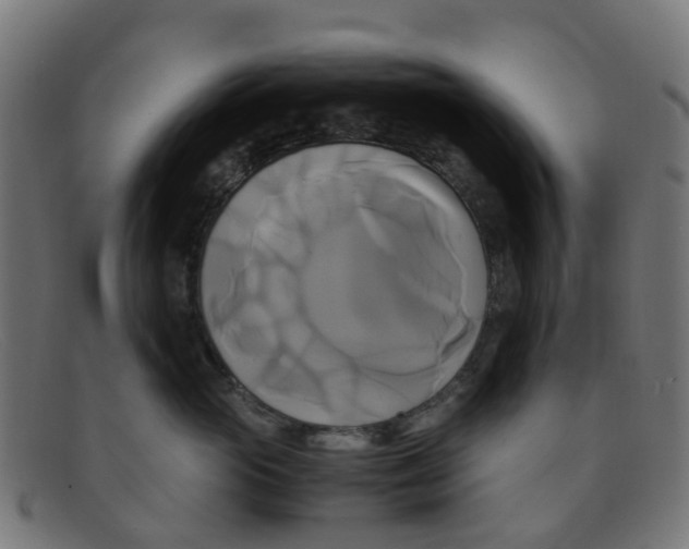 X0000091500765200709131850