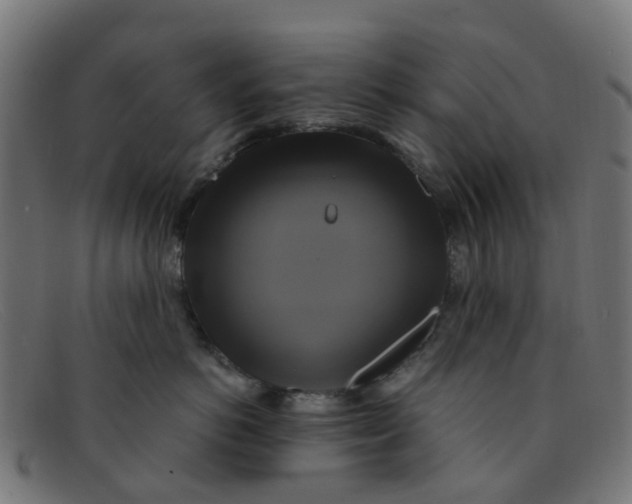 X0000091500766200709131850