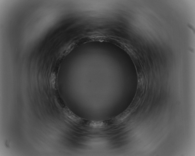 X0000091500767200709131850