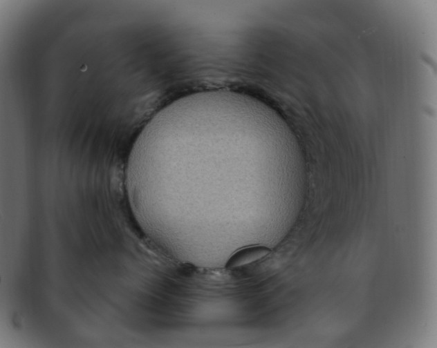 X0000091500768200709131850