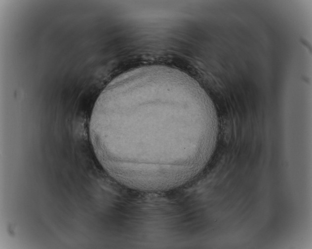 X0000091500770200709131849