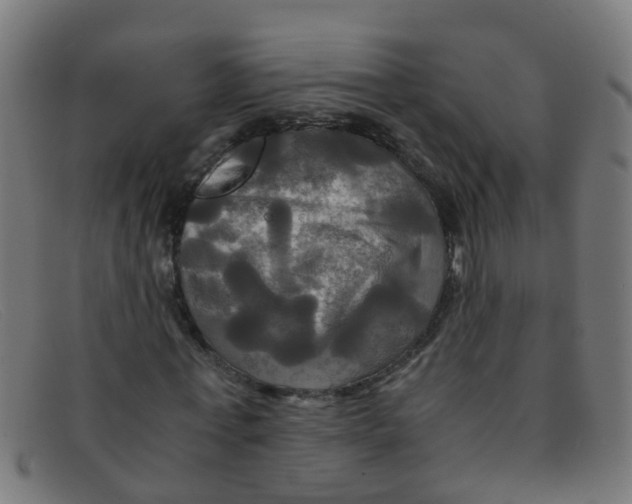 X0000091500771200709131849