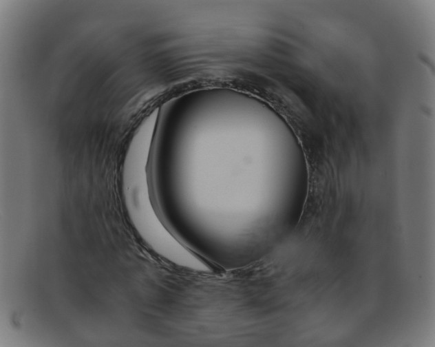 X0000091500773200709131849