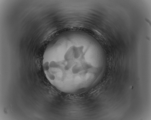 X0000091500774200709131849