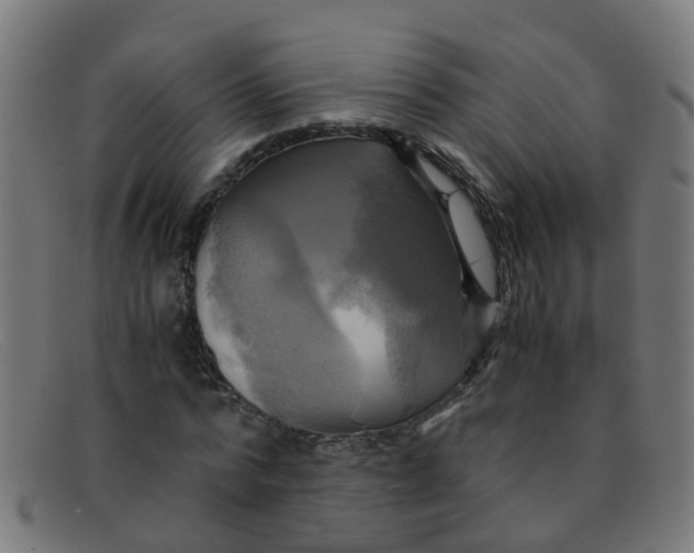 X0000091500776200709131849