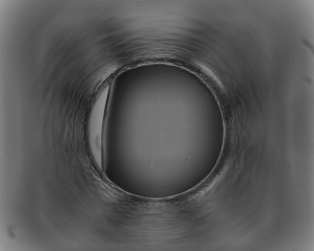 X0000091500777200709131849