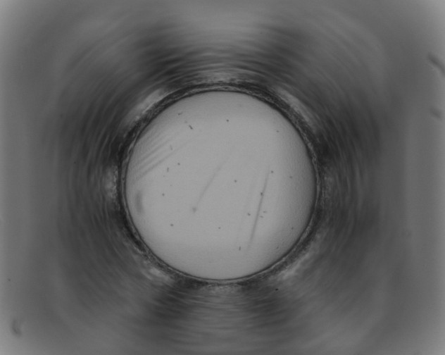 X0000091500778200709131849