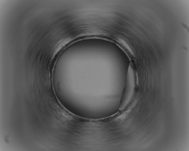 X0000091500781200709131849