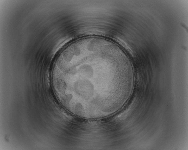 X0000091500782200709131849