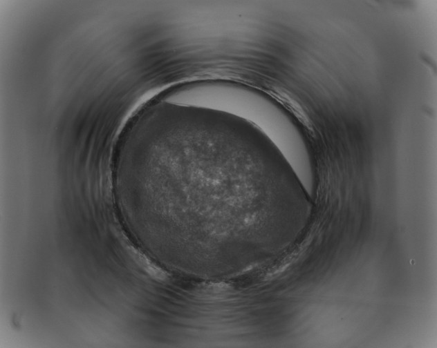 X0000091500784200709131849