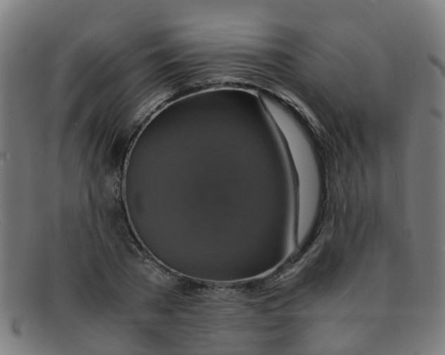 X0000091500785200709131849