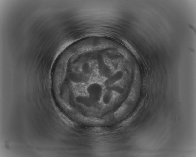 X0000091500787200709131849