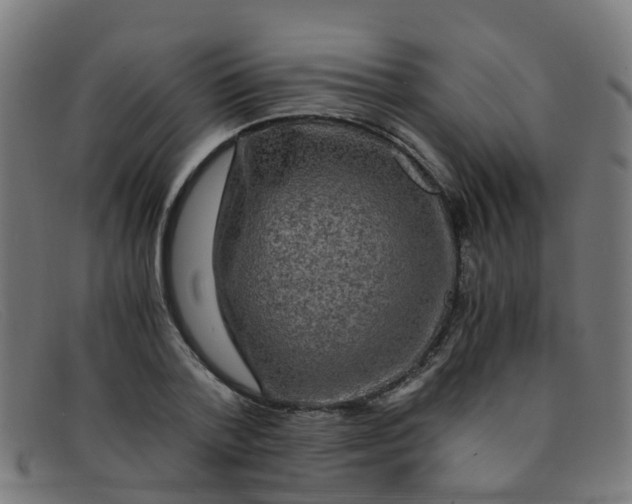 X0000091500788200709131849