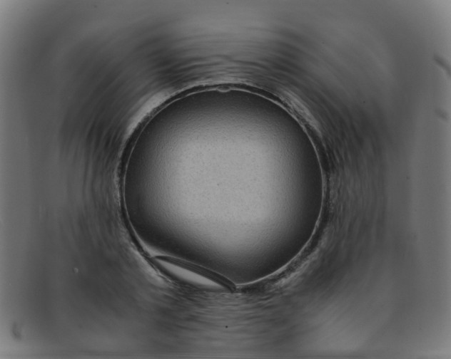 X0000091500789200709131849