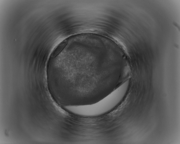 X0000091500792200709131849