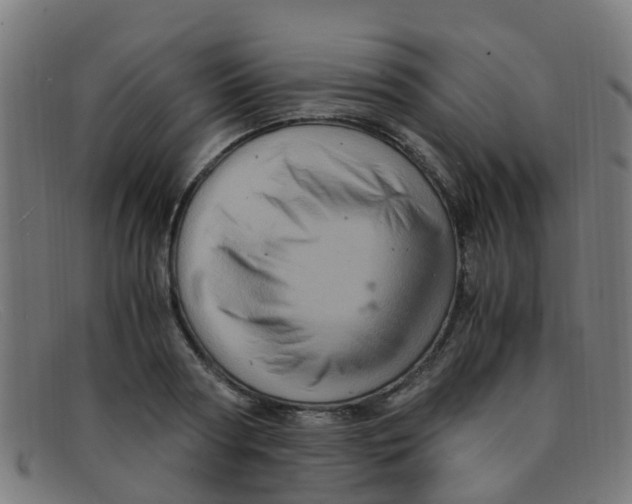 X0000091500794200709131849