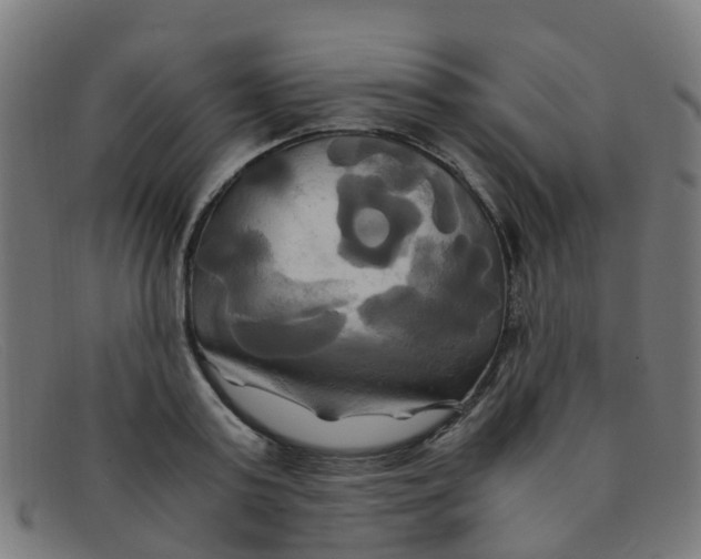 X0000091500795200709131849