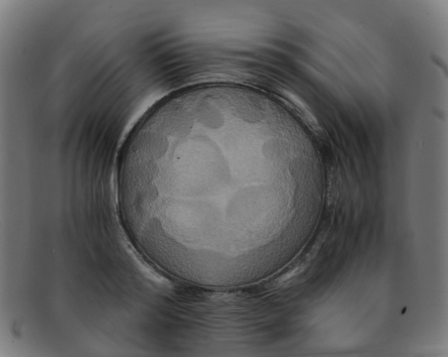 X0000091500796200709131849