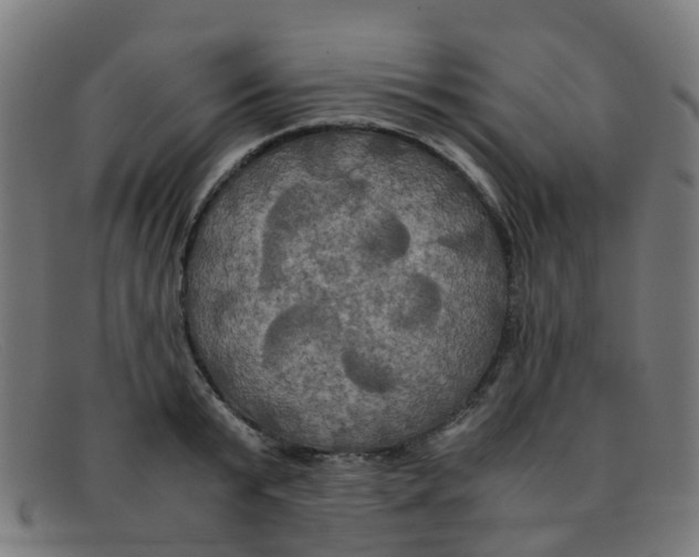 X0000091500799200709131849