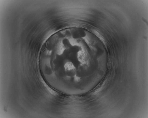 X0000091500803200709131849