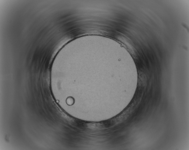 X0000091500804200709131849