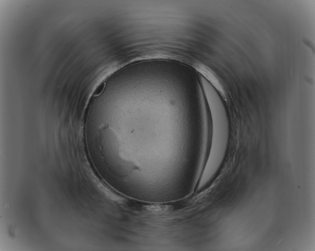 X0000091500805200709131849