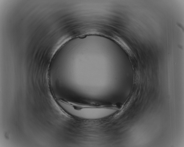 X0000091500806200709131849