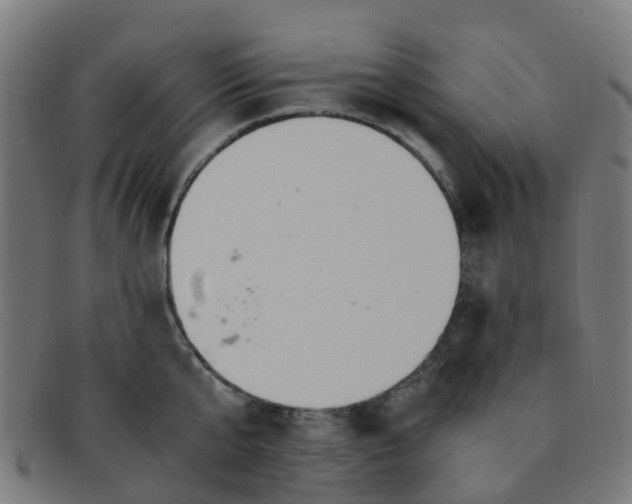 X0000091500807200709131849